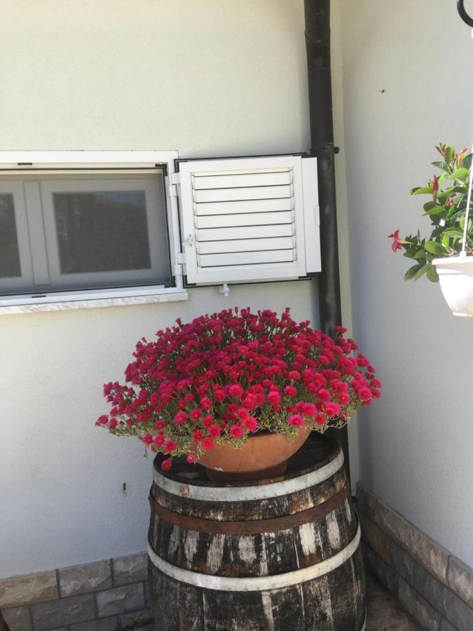 Galeb Apartment Vodice Exterior photo